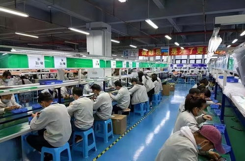 從清華學(xué)子到卷煙廠操作工 專(zhuān)業(yè)與職業(yè)選擇的多元探索